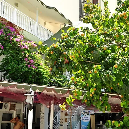 住宿加早餐酒店 Uysal