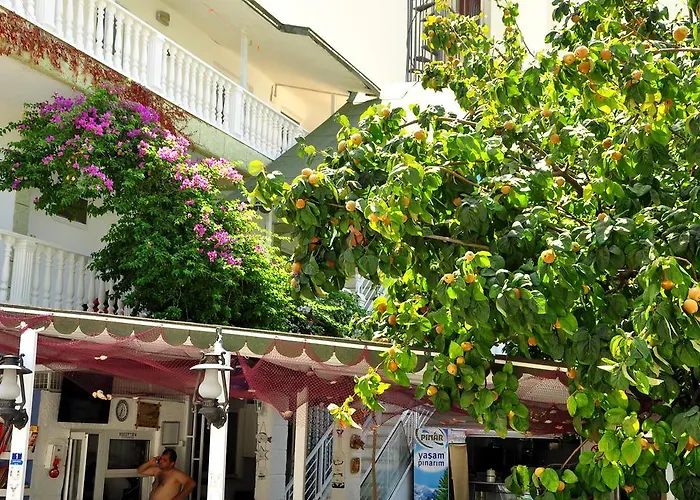 Bed & Breakfast Uysal